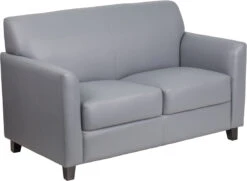 HERCULES Diplomat Series Gray Leather Loveseat - By Flash Furniture - Madison Seating
